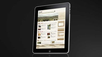 慶元堂徽菊茶葉網(wǎng)站設(shè)計(jì)與品牌策劃 尚略廣告的專(zhuān)業(yè)賦能